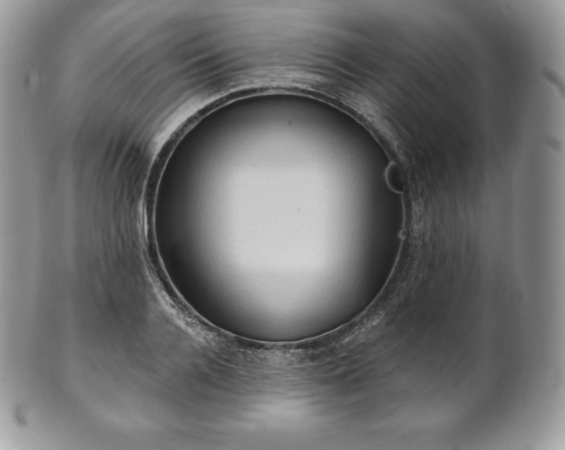 X0000101160936200807071154