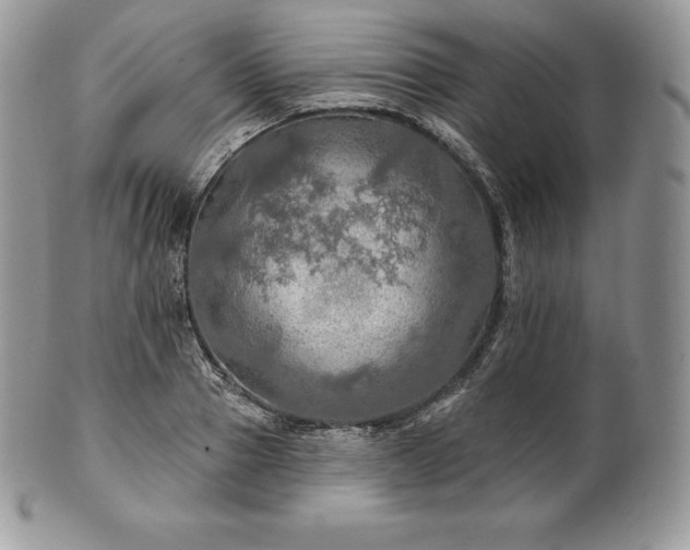 X0000101160937200807071154