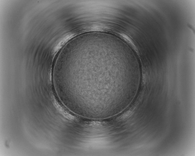 X0000101160938200807071155