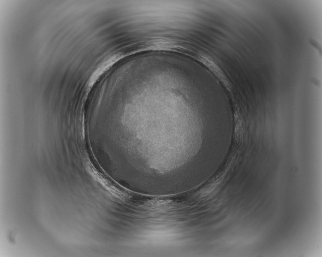 X0000101160939200807071155