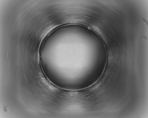 X0000101160940200807071155