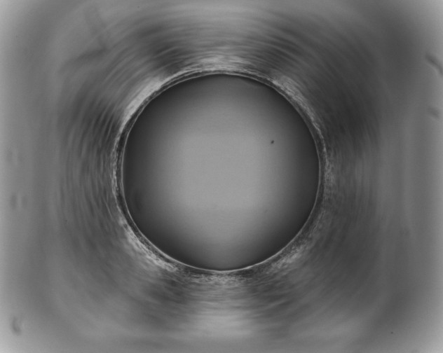 X0000101160941200807071155