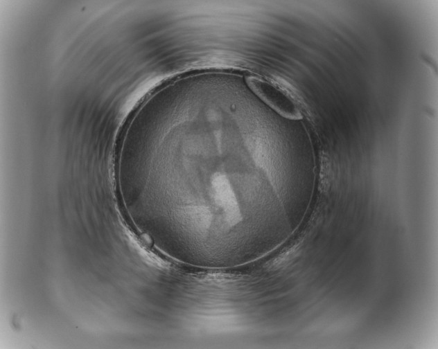 X0000101160942200807071155