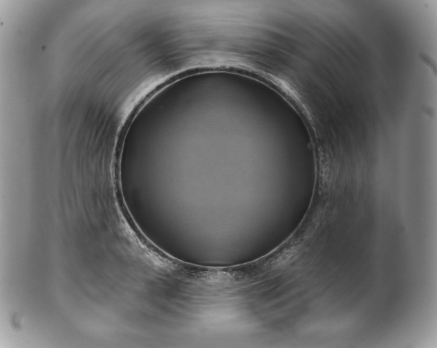 X0000101160943200807071155