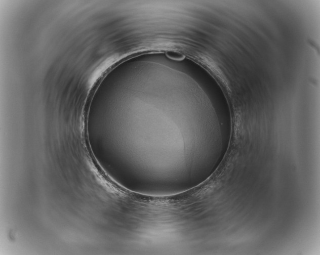 X0000101160944200807071155