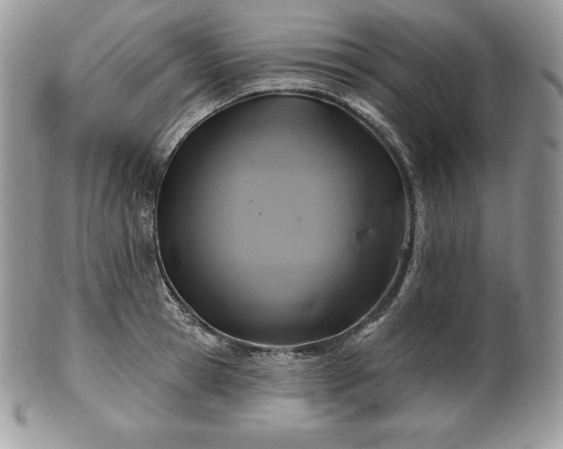 X0000101160945200807071155