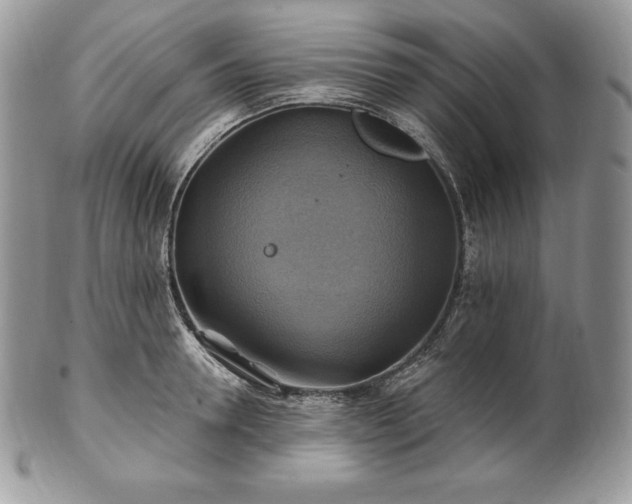 X0000101160946200807071155