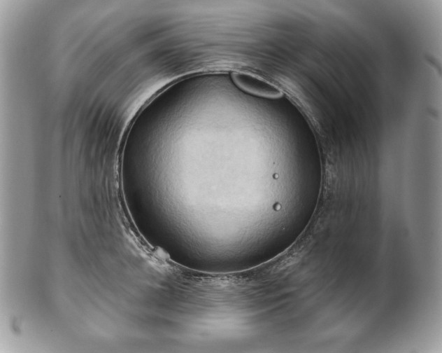 X0000101160948200807071155