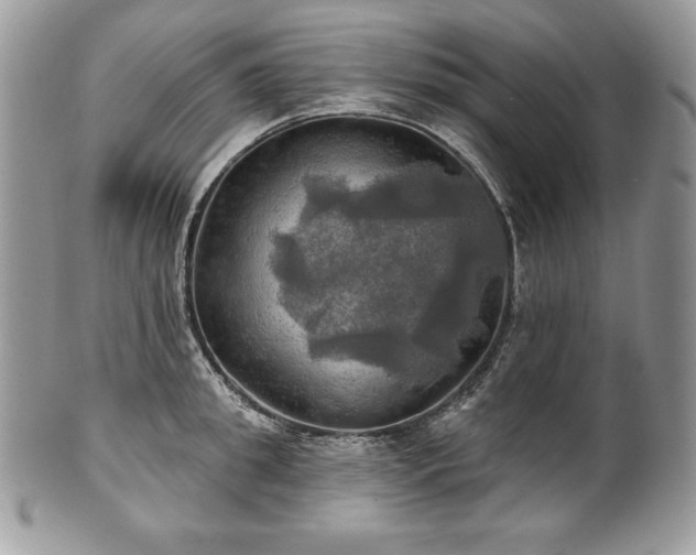 X0000101160949200807071155