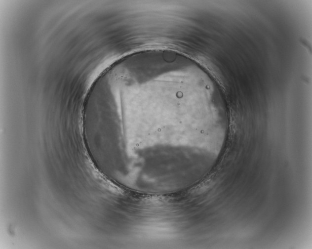 X0000101160950200807071155