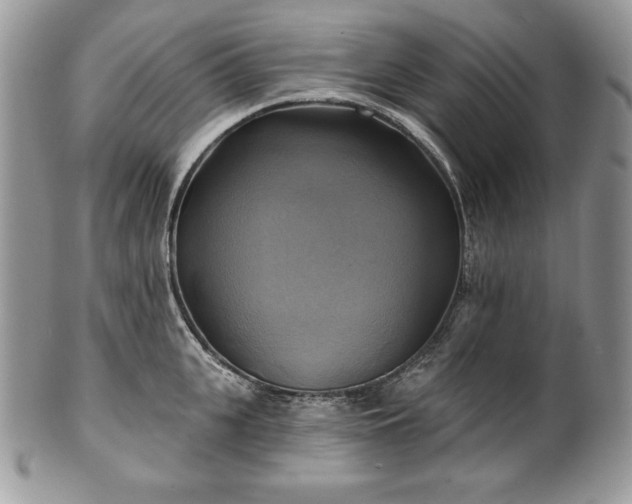 X0000101160951200807071155