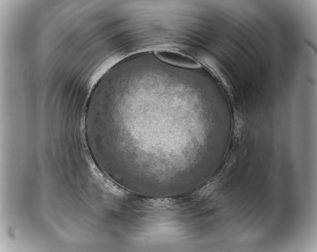 X0000101160952200807071155