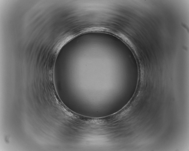 X0000101160953200807071155