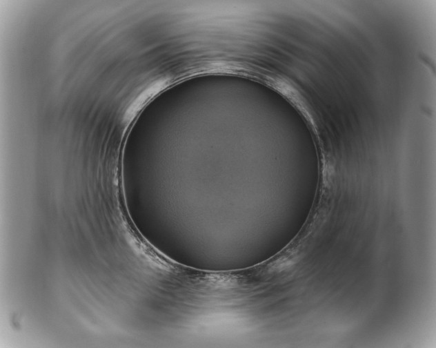 X0000101160954200807071155