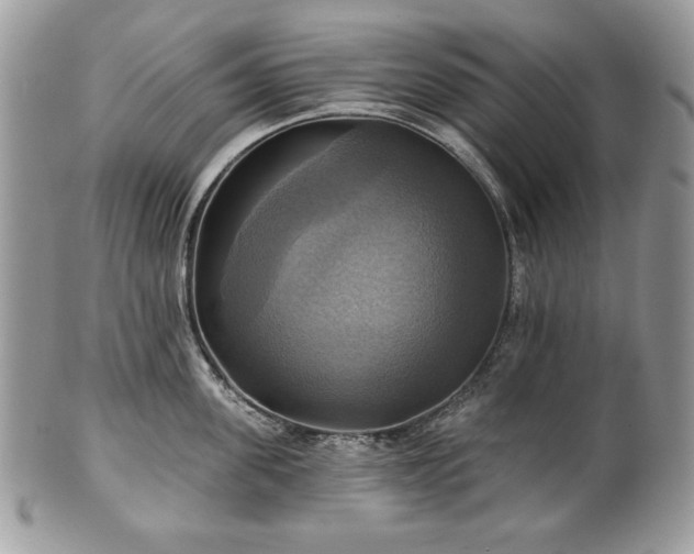 X0000101160955200807071155