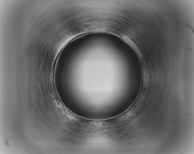 X0000101160956200807071155