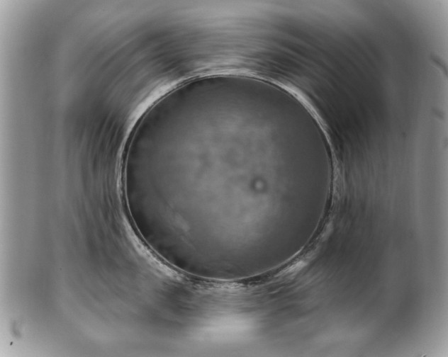 X0000101160957200807071155