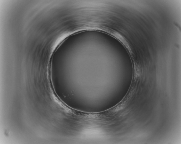 X0000101160958200807071155