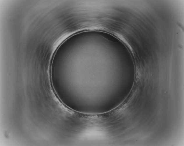 X0000101160959200807071155