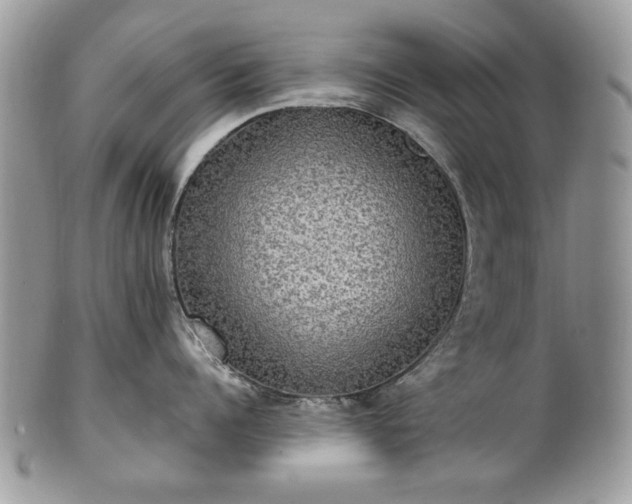 X0000101160960200807071155