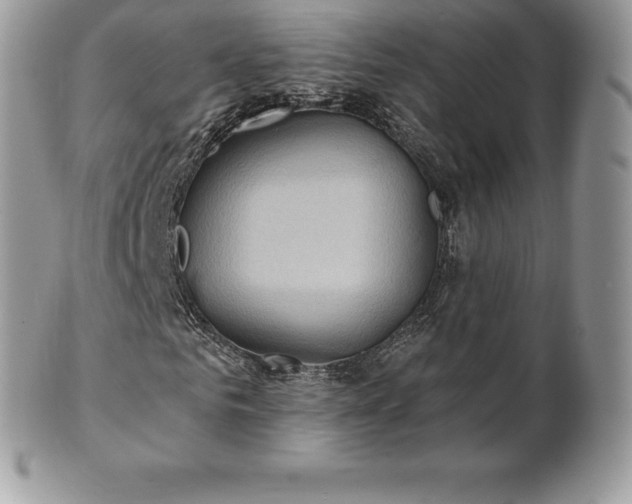 X0000101160961200807071154