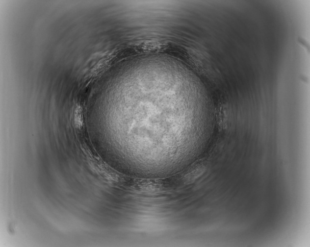 X0000101160962200807071154