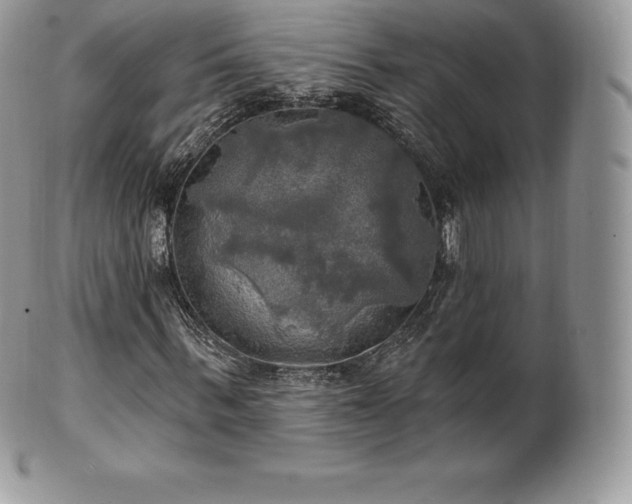 X0000101160963200807071154