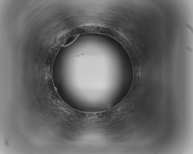 X0000101160965200807071154