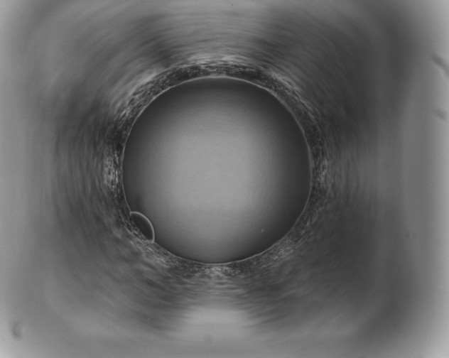 X0000101160966200807071154