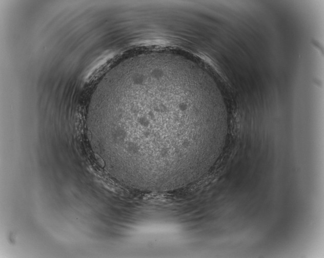 X0000101160967200807071154