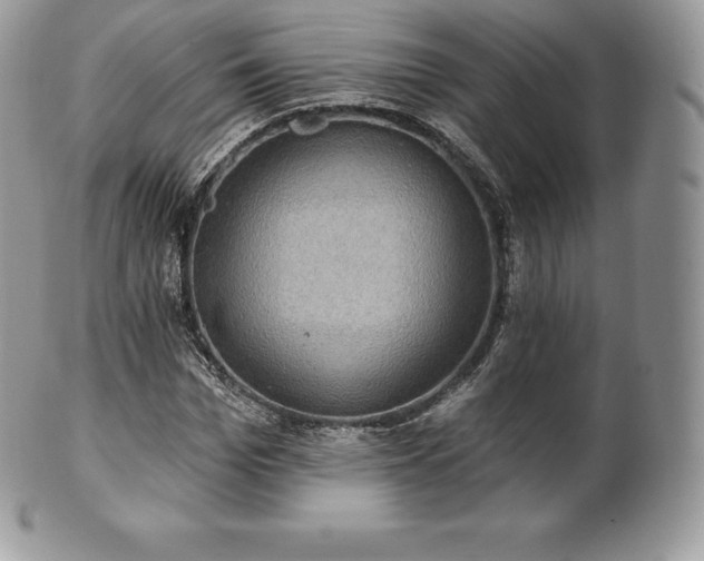 X0000101160969200807071154