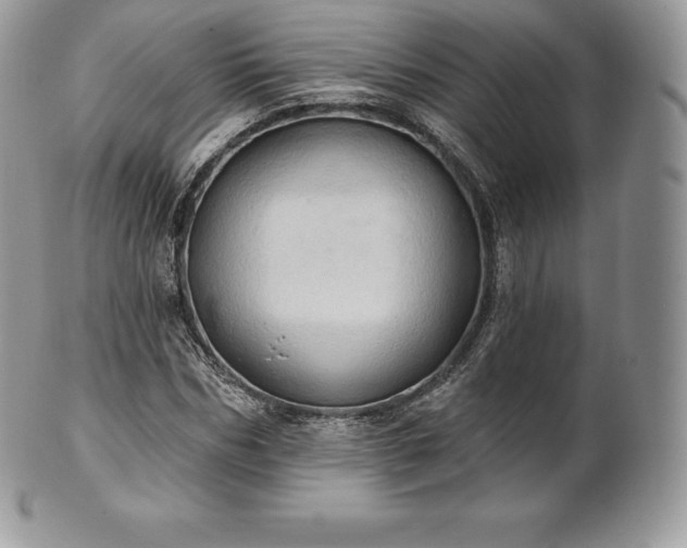 X0000101160970200807071154