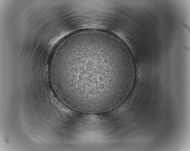 X0000101160971200807071154