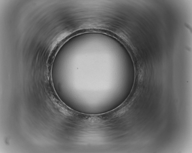 X0000101160974200807071154