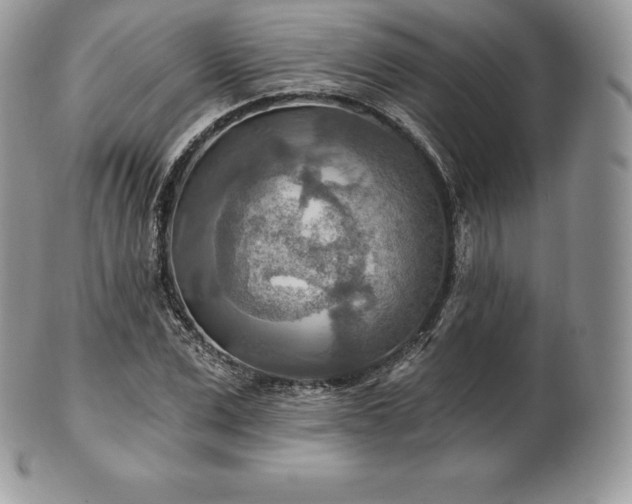 X0000101160975200807071154