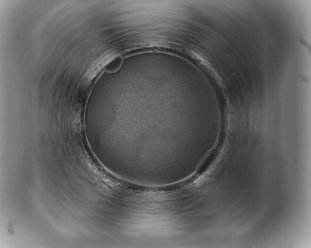 X0000101160977200807071154