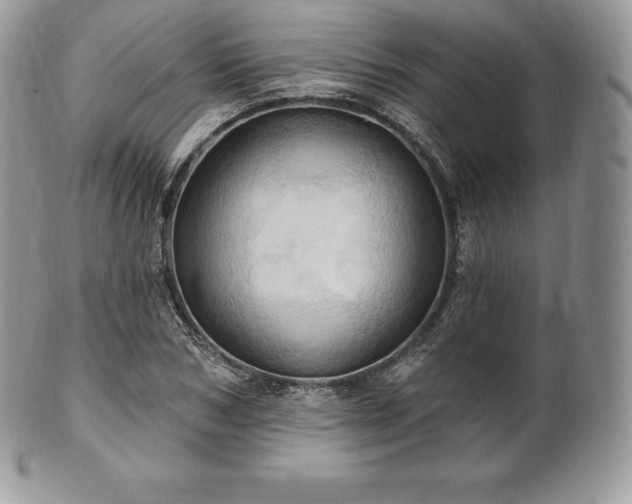 X0000101160978200807071154