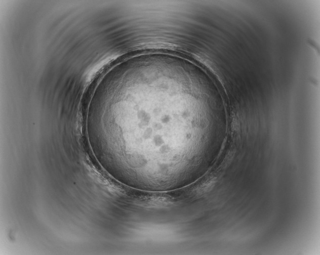 X0000101160979200807071154