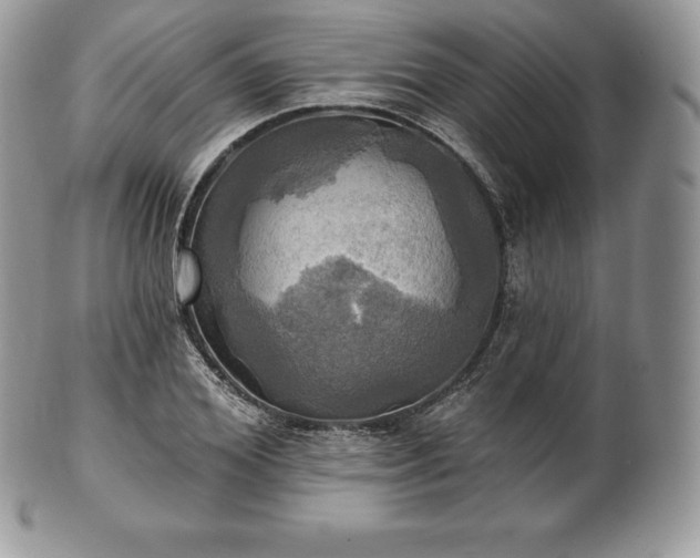 X0000101160980200807071154