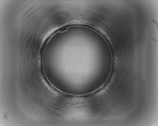 X0000101160981200807071154