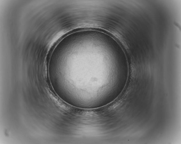 X0000101160982200807071154