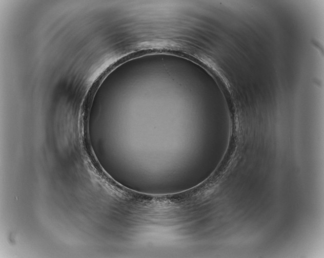 X0000101160983200807071154