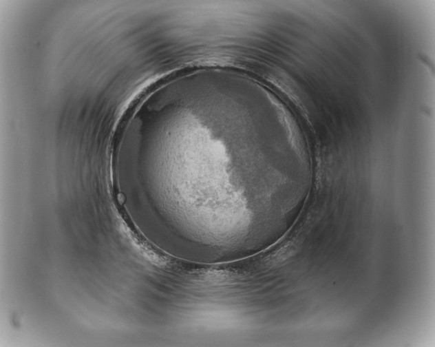 X0000101160984200807071154