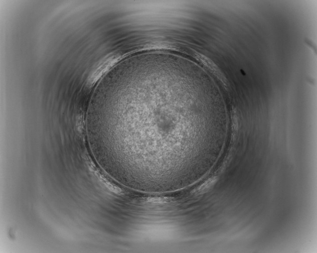 X0000101160985200807071154