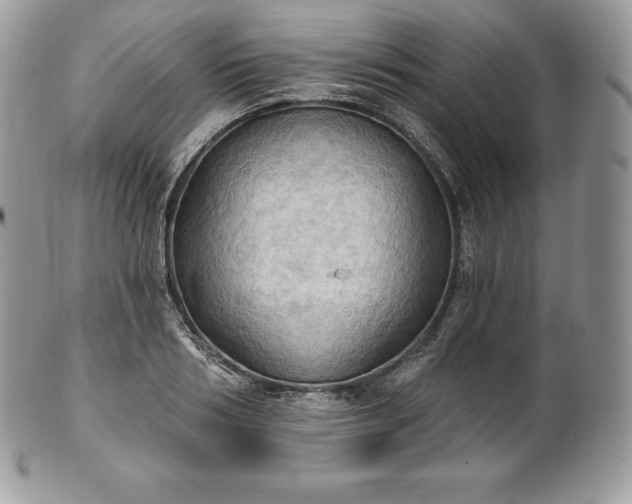 X0000101160986200807071154