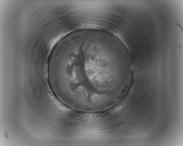 X0000101160987200807071154