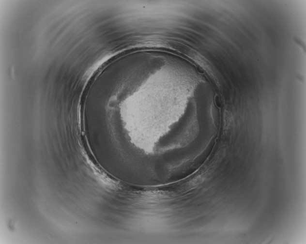 X0000101160988200807071154