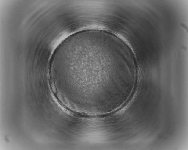 X0000101160989200807071154