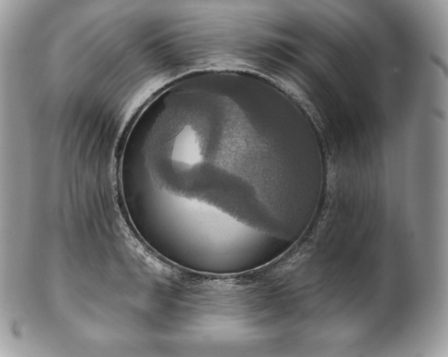 X0000101160990200807071154