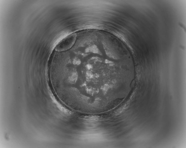 X0000101160991200807071153